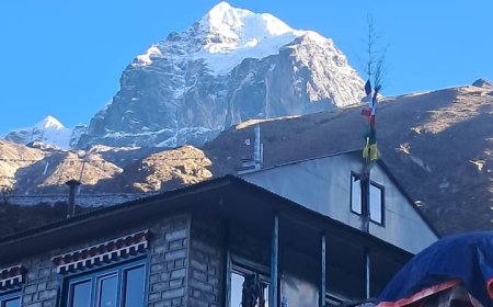 How to Get Your TIMS Card and Sagarmatha National Park Permit Easily