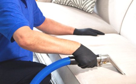 Upholstery Steam Cleaner Denver, CO