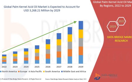 Palm Kernel Acid Oil Market Advances with Growth in Soap and Oleochemical Sectors