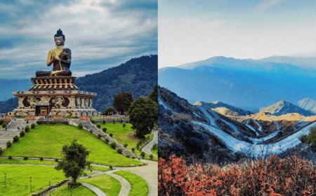 Tea, Trains & Tranquility: Experiencing Darjeeling