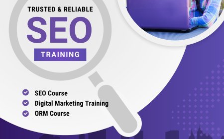 SEO Training Options: What You Get for Free