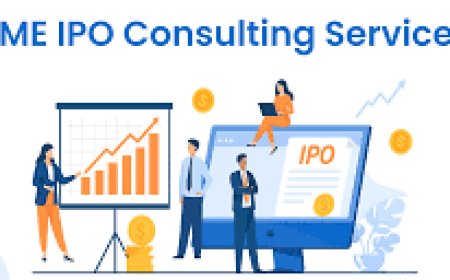 The Future of SME Listings in India: Role of Consultants in the 2025 IPO Boom