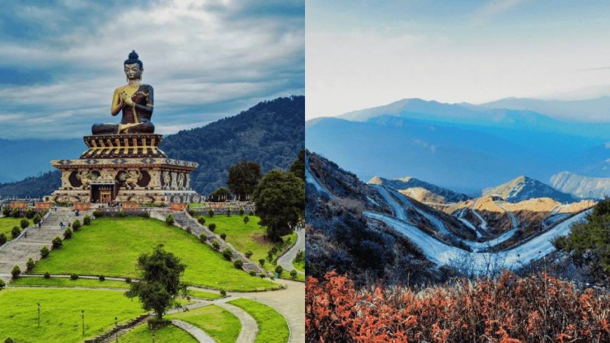 Tea, Trains & Tranquility: Experiencing Darjeeling