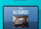Unleash Your Power with Personal Development Courses for Men
