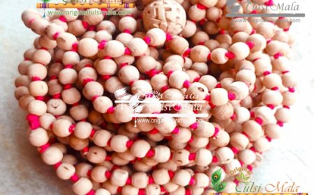 Experience Vrindavan's Heartbeat: Banshi Vata Prasadi Now Online!