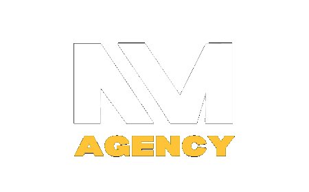 What makes Noir Media Agency a standout choice for businesses seeking innovative digital marketing services in Canada