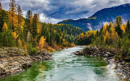 Jaipur Family Tour Package from Mumbai | TripSpray