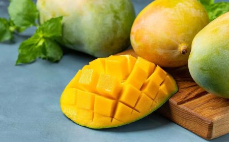 Why Gourmet Restaurants Prefer to Buy Export Quality Chaunsa Mango for Premium Dishes
