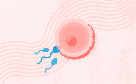 How to Choose the Best Fertility Clinic in Bangalore: 7 Key Factors