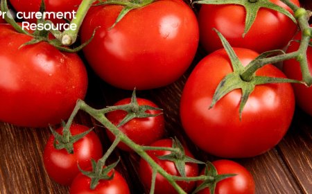 Tomato Price Trend: Market Insights, Analysis, and Forecasts