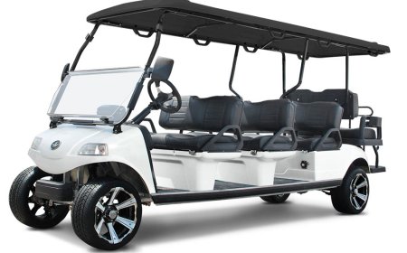 Top Reasons the Evolution Forester 4 Plus Is a Favorite for Outdoor Adventures