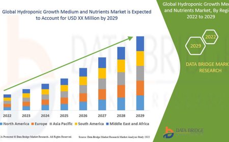 Hydroponic Growth Medium and Nutrients Market: Insights and Competitive Analysis
