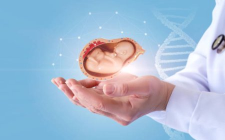 Top IVF Doctor in Bangalore: Your Guide to Choosing the Best Fertility Specialist