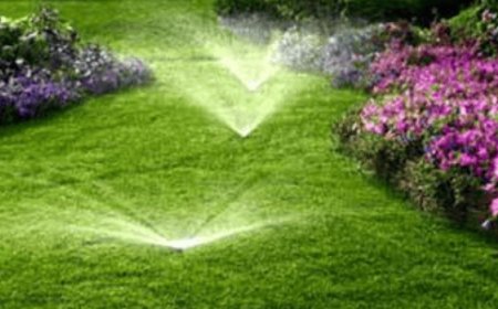 How to Choose the Best Irrigation Services in Texas