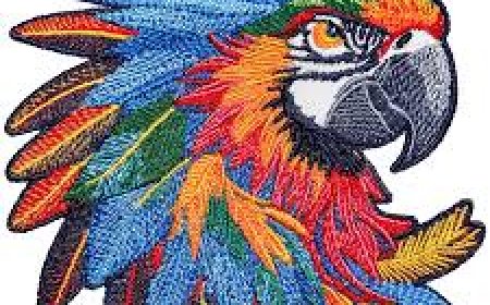 The Complete Beginner's Blueprint for Mastering Embroidery Digitizing Designs