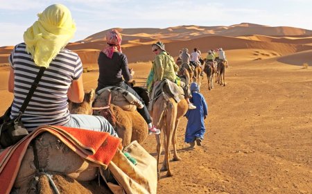 Weekend Getaway: Desert Safari Dubai and Sharjah Trips