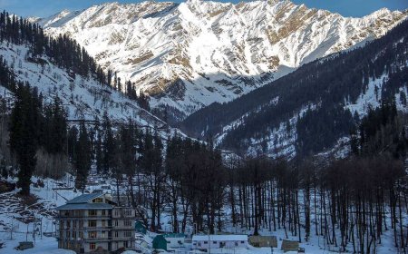 Thrills in the Hills: Adventure Activities in Manali