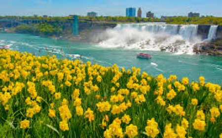 Epic Niagara Falls Tour Packages for Adventure Seekers and Nature Lovers