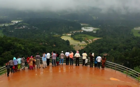 Bangalore Mysore Ooty Coorg trip: Choosing Your Ideal Tour Package