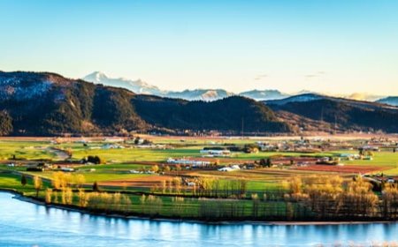 WiFi Management for Smart Cities: Powering the Urban Future