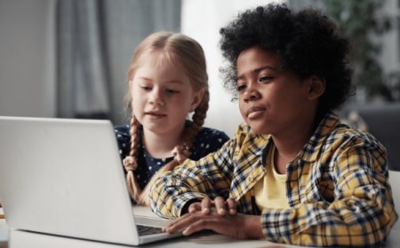 Supercharge Your System with Priil Optimizer