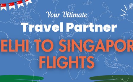 Delhi to Singapore Flights Travel Guide by binoco.in