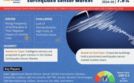 What’s Next for Earthquake Sensor Market? Insights for 2024-2030