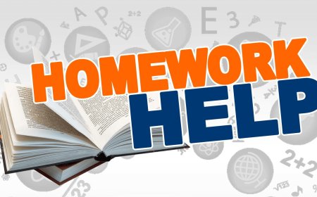 Professional Homework Help Services Online