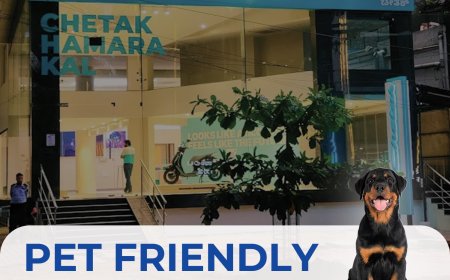 Pet-Friendly Chetak Showrooms in Bangalore You Didn’t Know Existed!