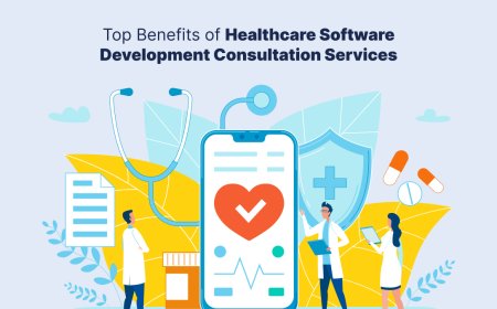 Top Benefits of Healthcare Software Development Consultation Services