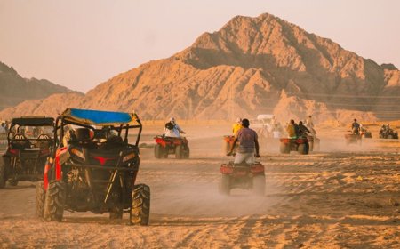 Dubai Desert Safari Price – Complete Guide to Costs, Packages  & Value