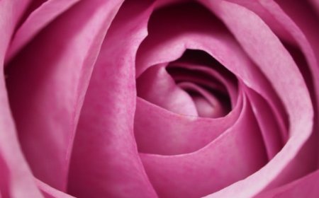 Mystic Rose Meditation at Astitva Well Being: Heal Through Laughter, Tears, and Silence