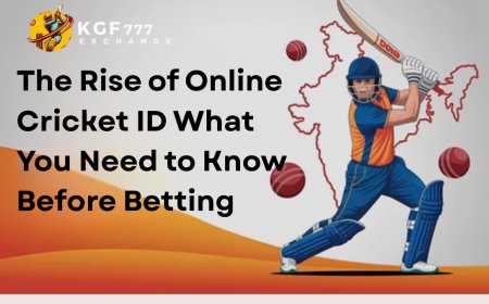 The Rise of Online Cricket ID What You Need to Know Before Betting