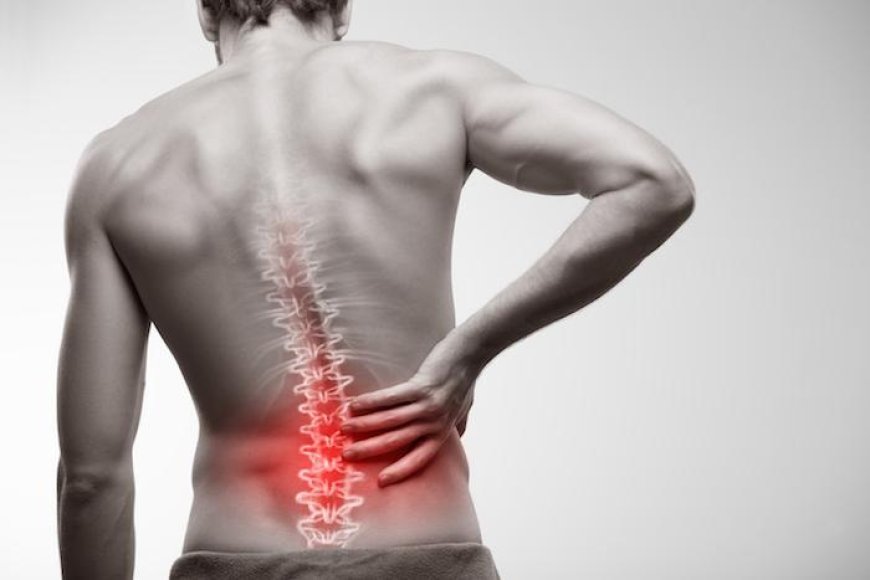 Top 7 Reasons to Choose the Best Spine Hospital in Jaipur