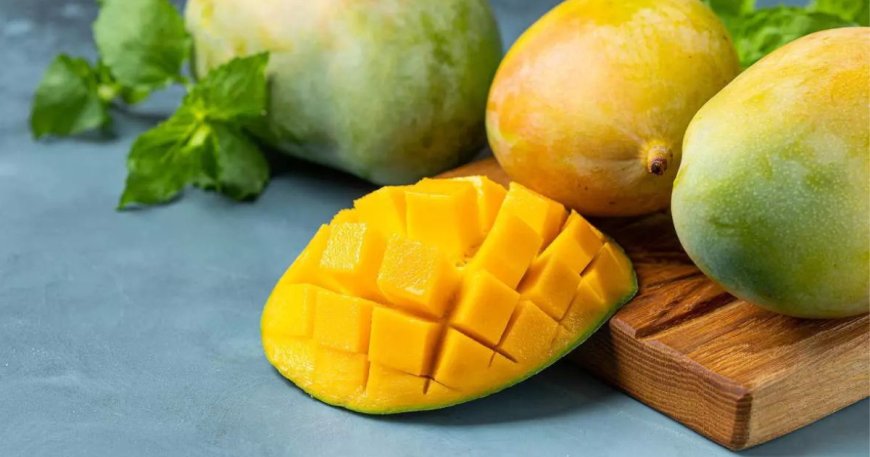 Why Gourmet Restaurants Prefer to Buy Export Quality Chaunsa Mango for Premium Dishes