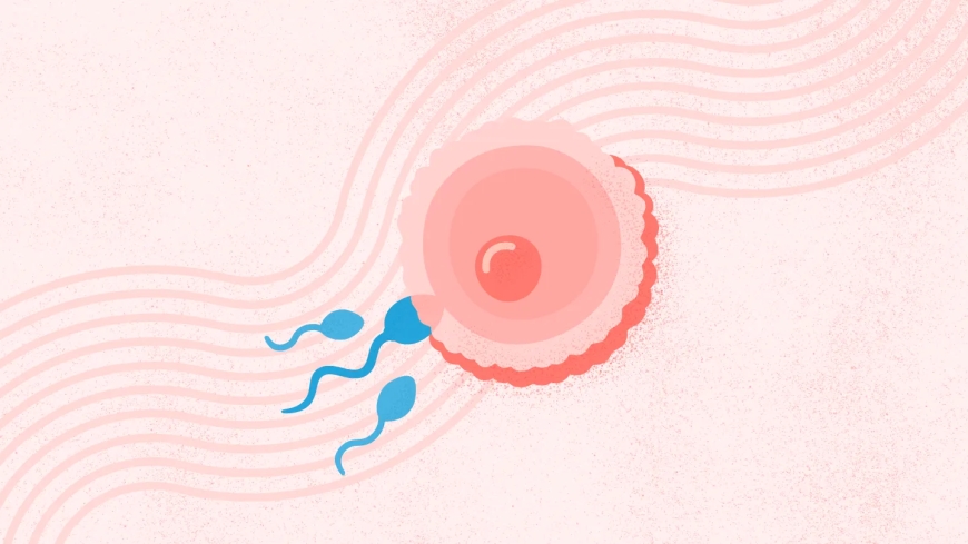 How to Choose the Best Fertility Clinic in Bangalore: 7 Key Factors