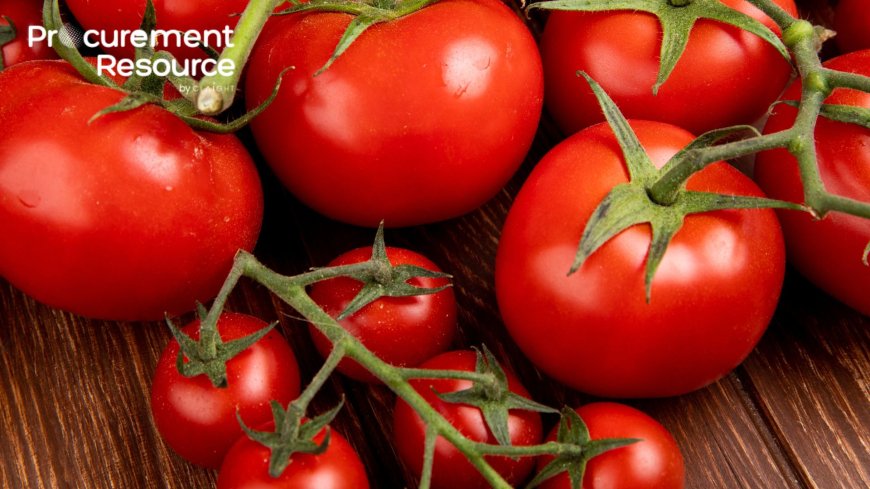 Tomato Price Trend: Market Insights, Analysis, and Forecasts