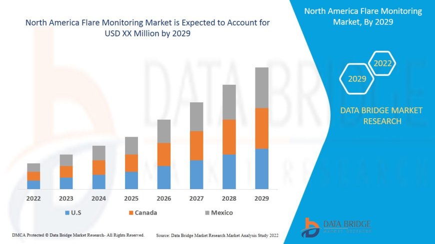 North America Flare Monitoring Market Dynamics: Trends and Forecast to 2029