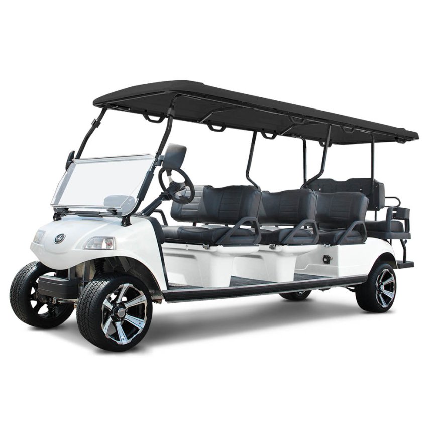 Top Reasons the Evolution Forester 4 Plus Is a Favorite for Outdoor Adventures