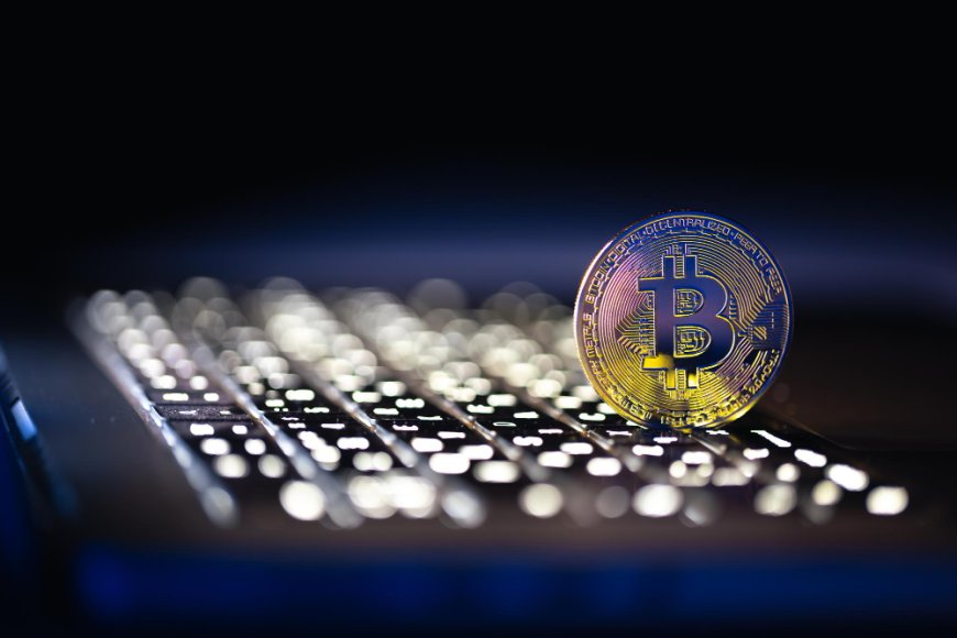 Profit & Loss Calculation: The Role of a Crypto Calculator