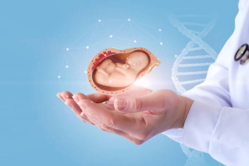 Top IVF Doctor in Bangalore: Your Guide to Choosing the Best Fertility Specialist