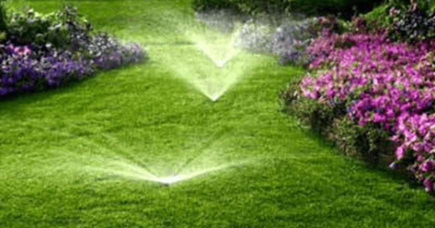 How to Choose the Best Irrigation Services in Texas