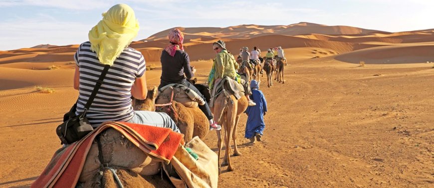 Weekend Getaway: Desert Safari Dubai and Sharjah Trips