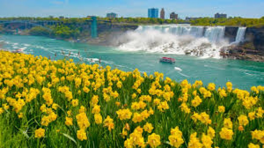 Epic Niagara Falls Tour Packages for Adventure Seekers and Nature Lovers