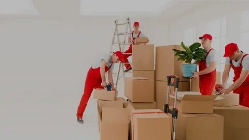 Movers Mississauga Tips to Avoid Hidden Moving Fees