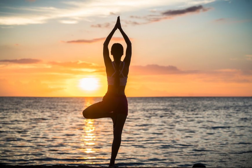 Massage Therapy in Markham: Relieve, Recover, and Rejuvenate Naturally