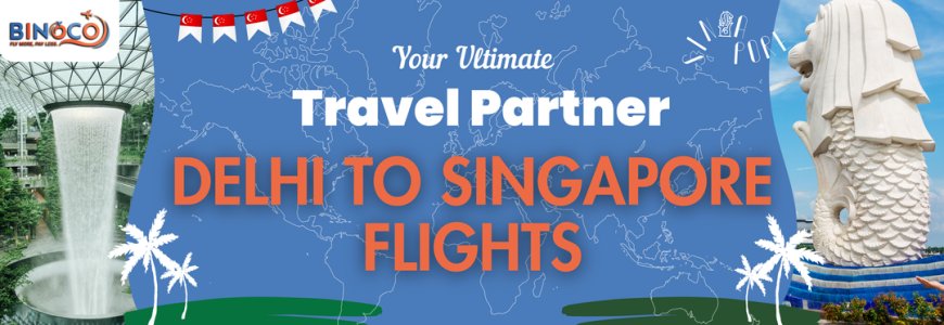 Delhi to Singapore Flights Travel Guide by binoco.in
