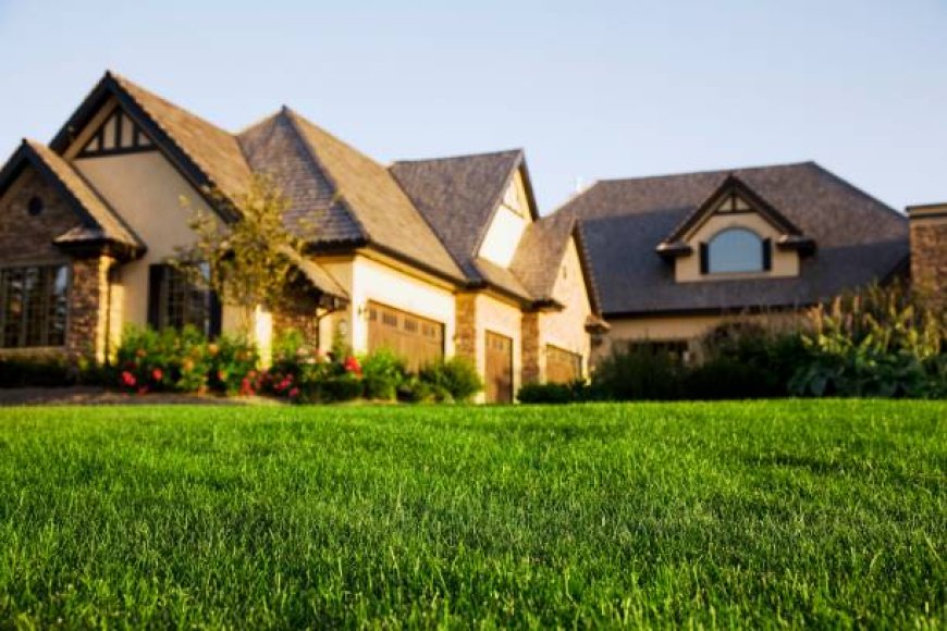 Transform Your Outdoor Space with Expert Landscaping in Denton, TX