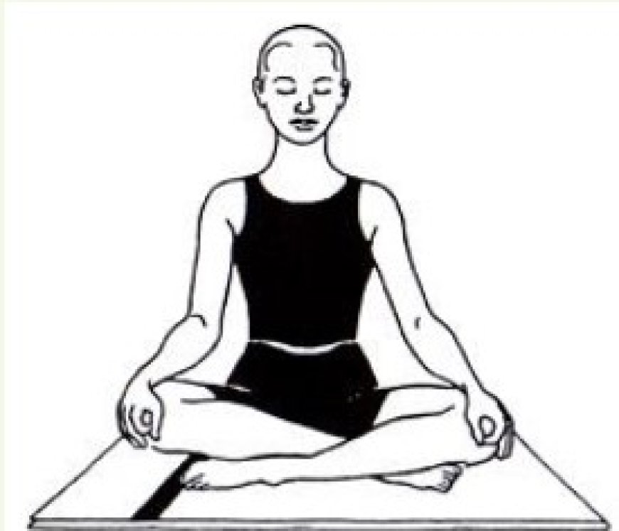 Discover the Best Yoga Teacher Training and Certification Near Me