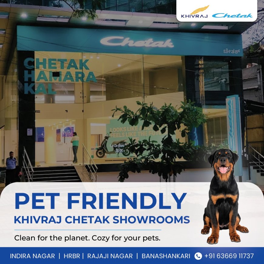 Pet-Friendly Chetak Showrooms in Bangalore You Didn’t Know Existed!